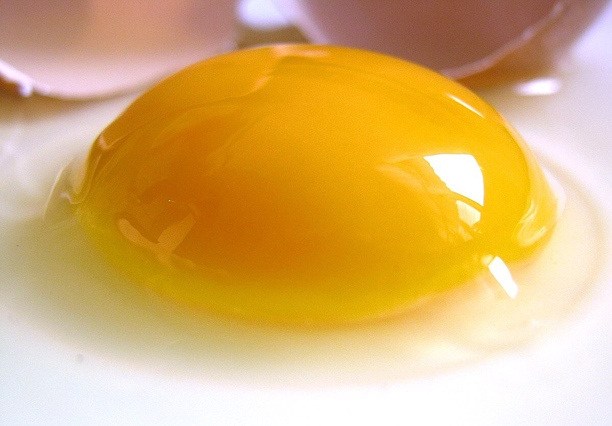 Egg Yolks: Why They’re Egg-cellent