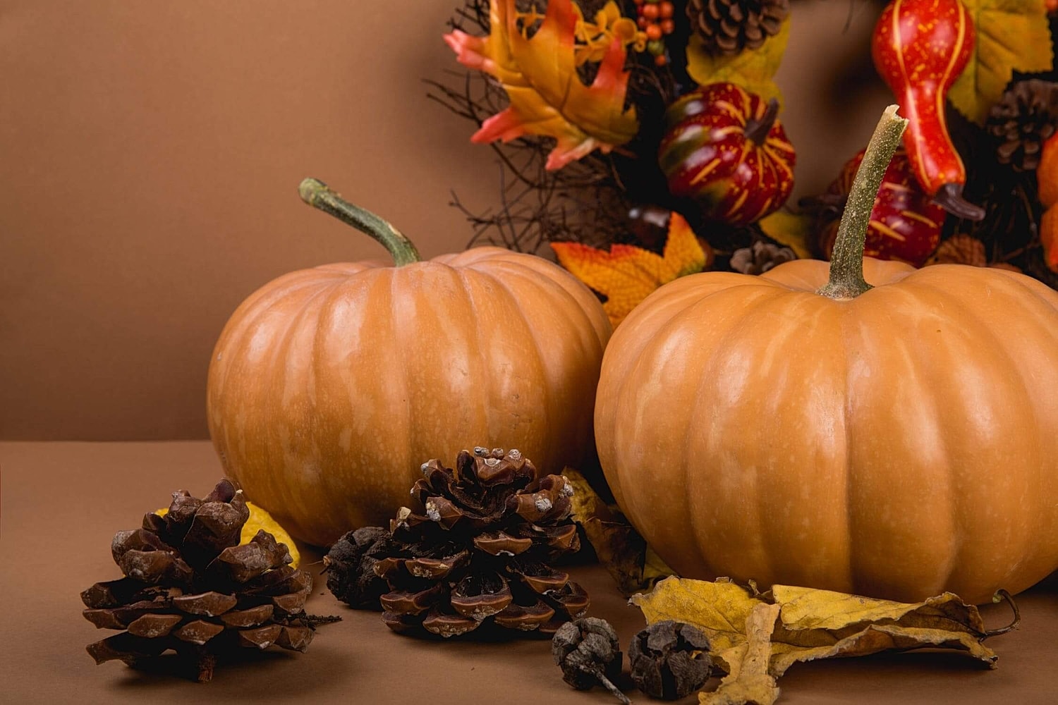 Guide to Fall Foods