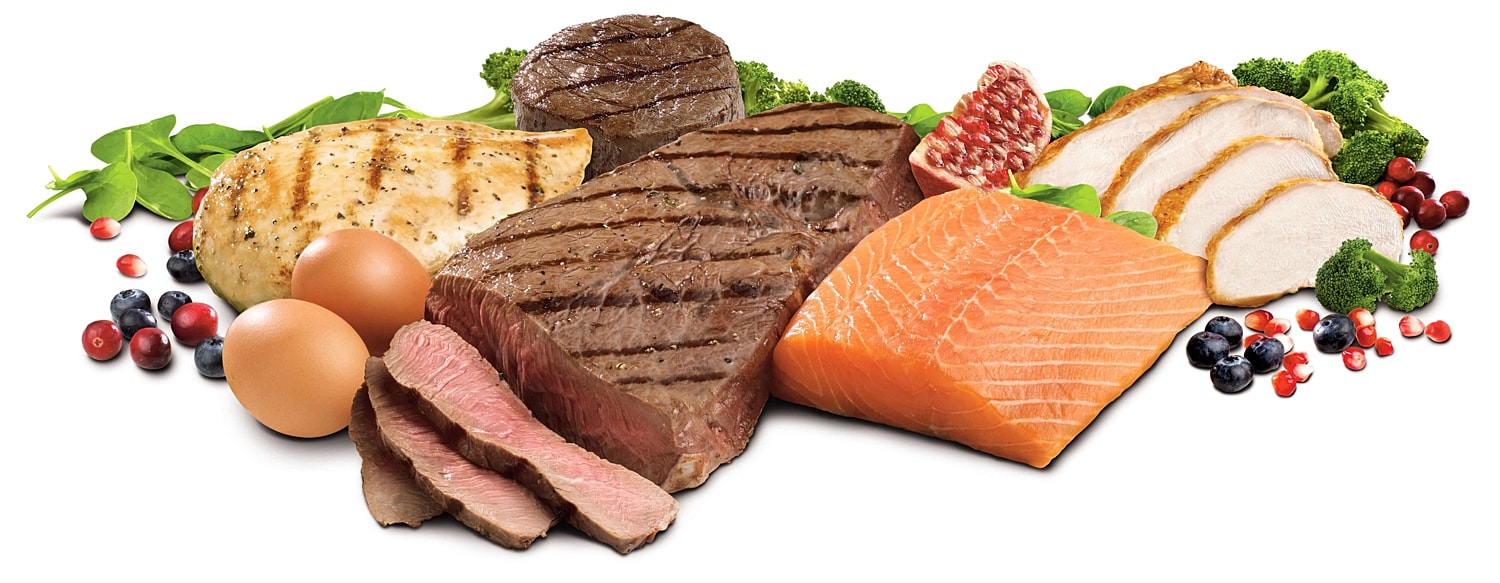 Low Carb: Why It Works