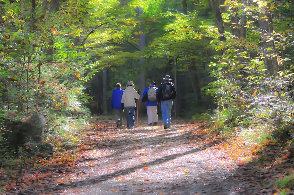 Four People on Hiking Trail