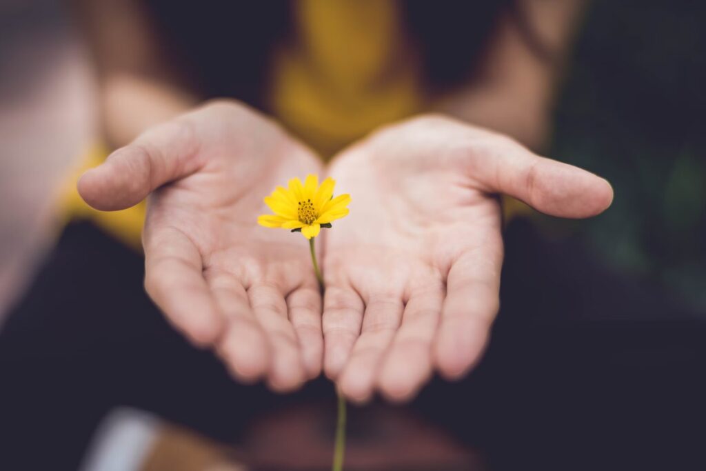 Person holding a yellow flower 